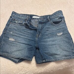 Hidden Size Medium Jean Short